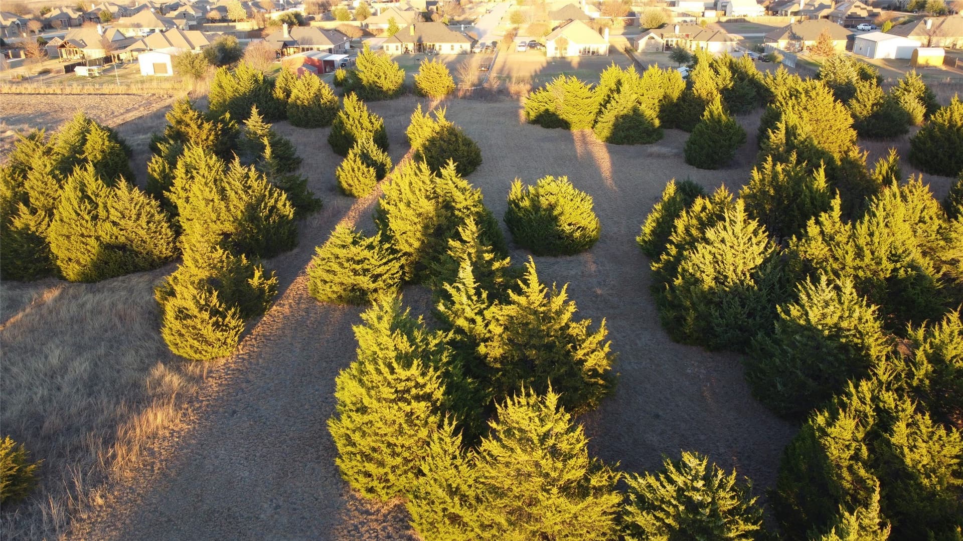 3.7 acres in Ellis County - photo 12