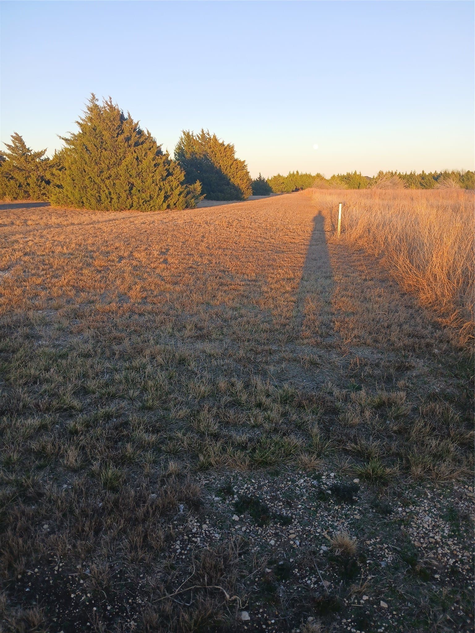 3.7 acres in Ellis County - photo 9