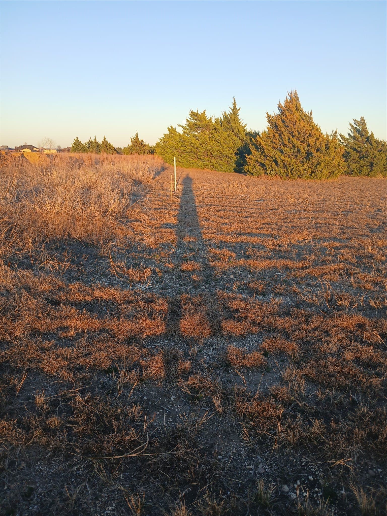 3.7 acres in Ellis County - photo 8