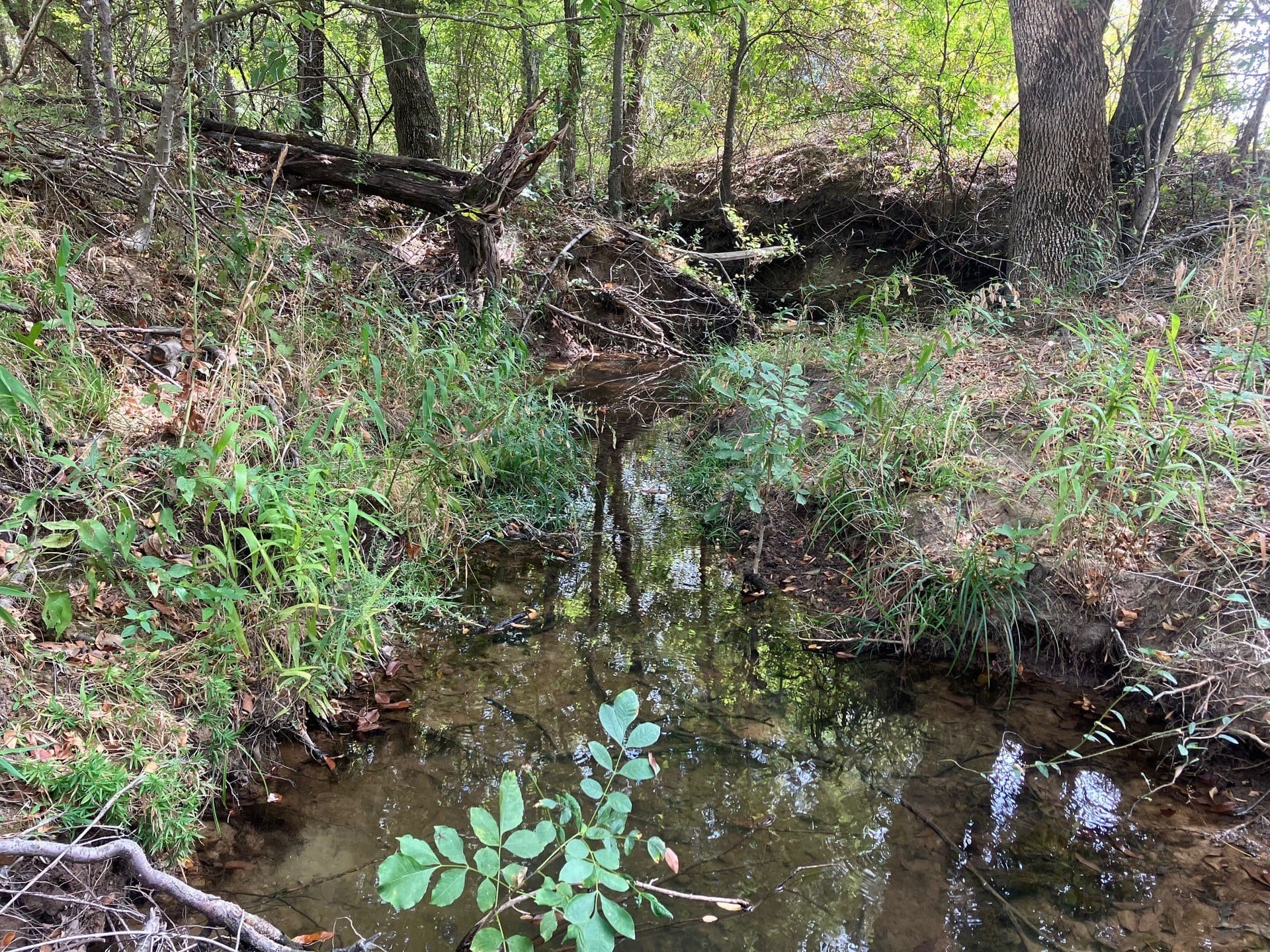 16.11 acres in Hopkins County - photo 5
