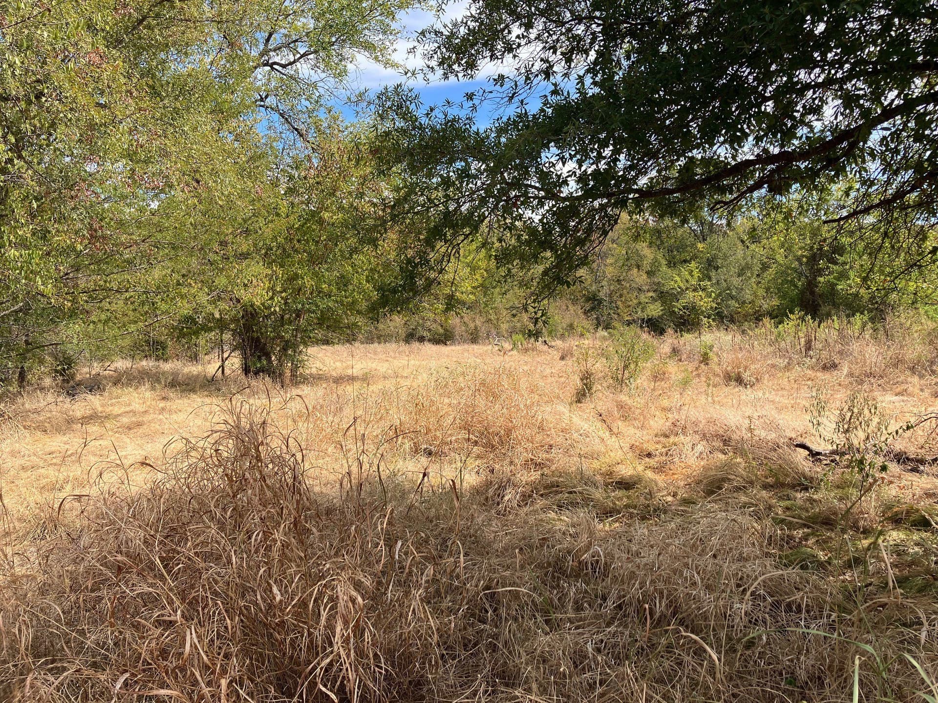 16.11 acres in Hopkins County - photo 6
