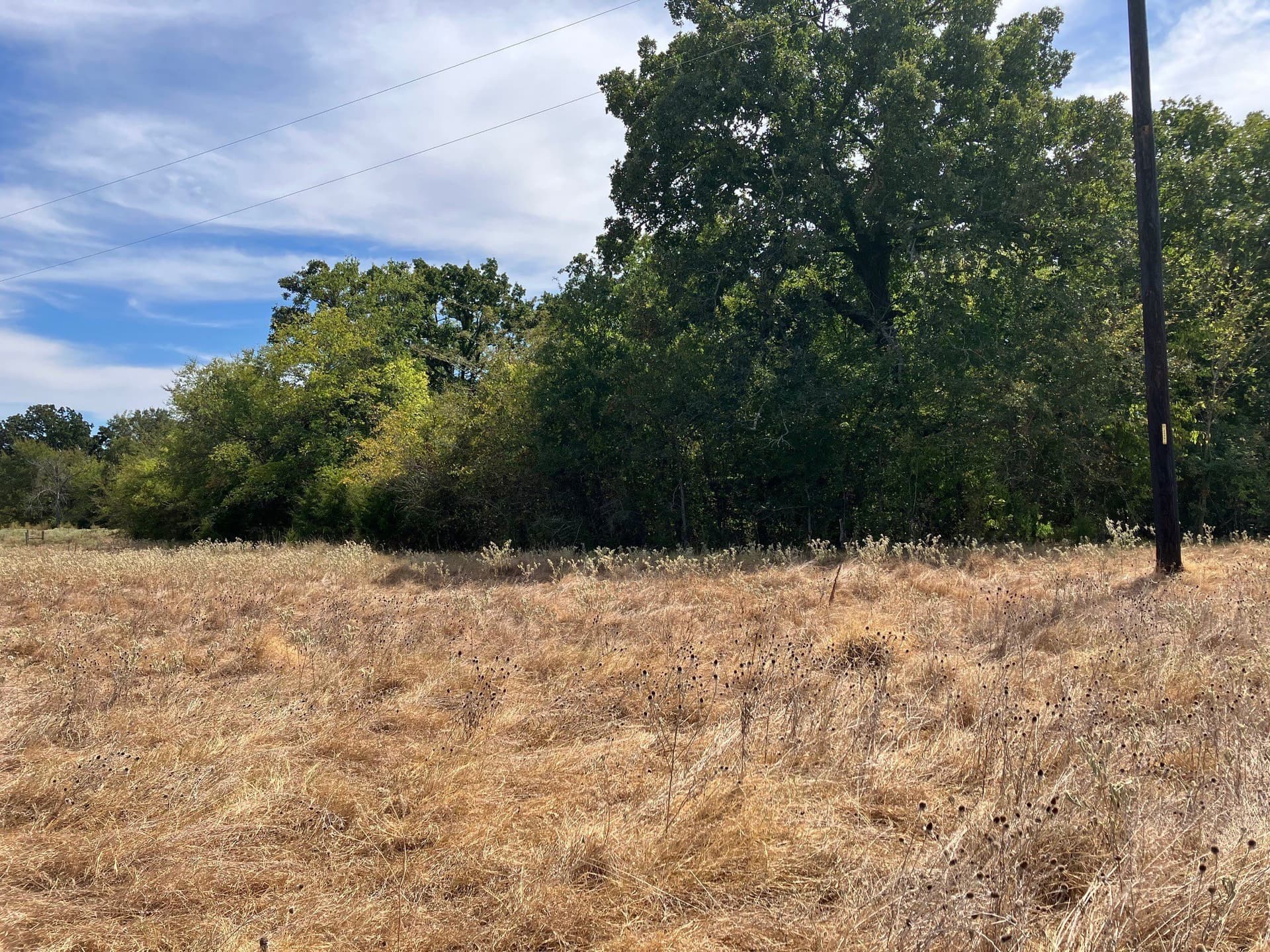 16.11 acres in Hopkins County - photo 8