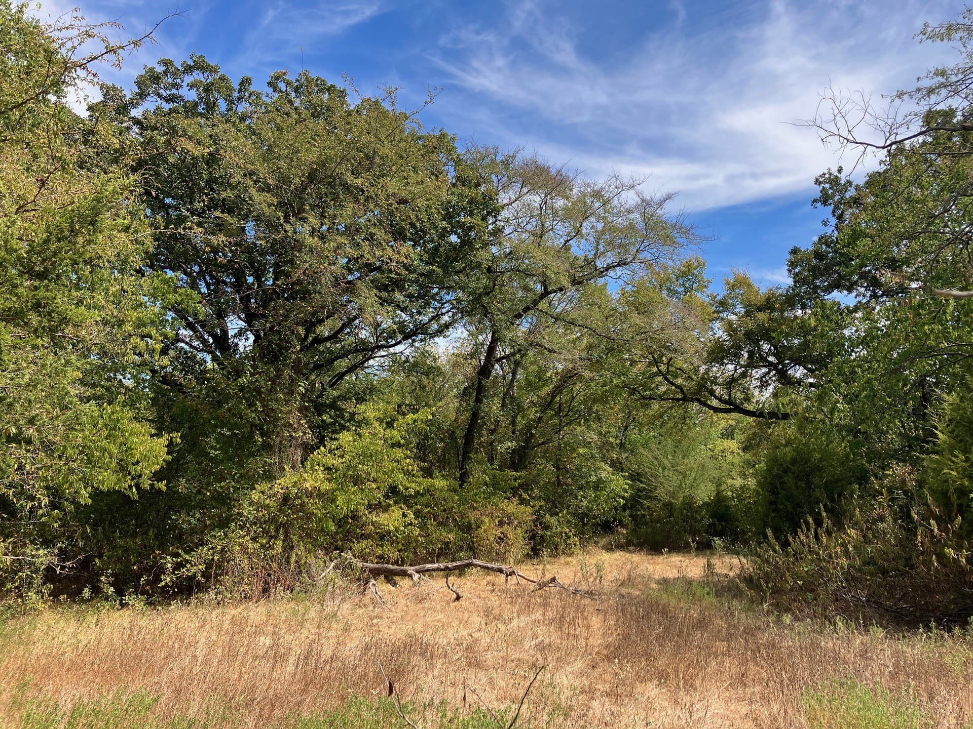 16.11 acres in Hopkins County