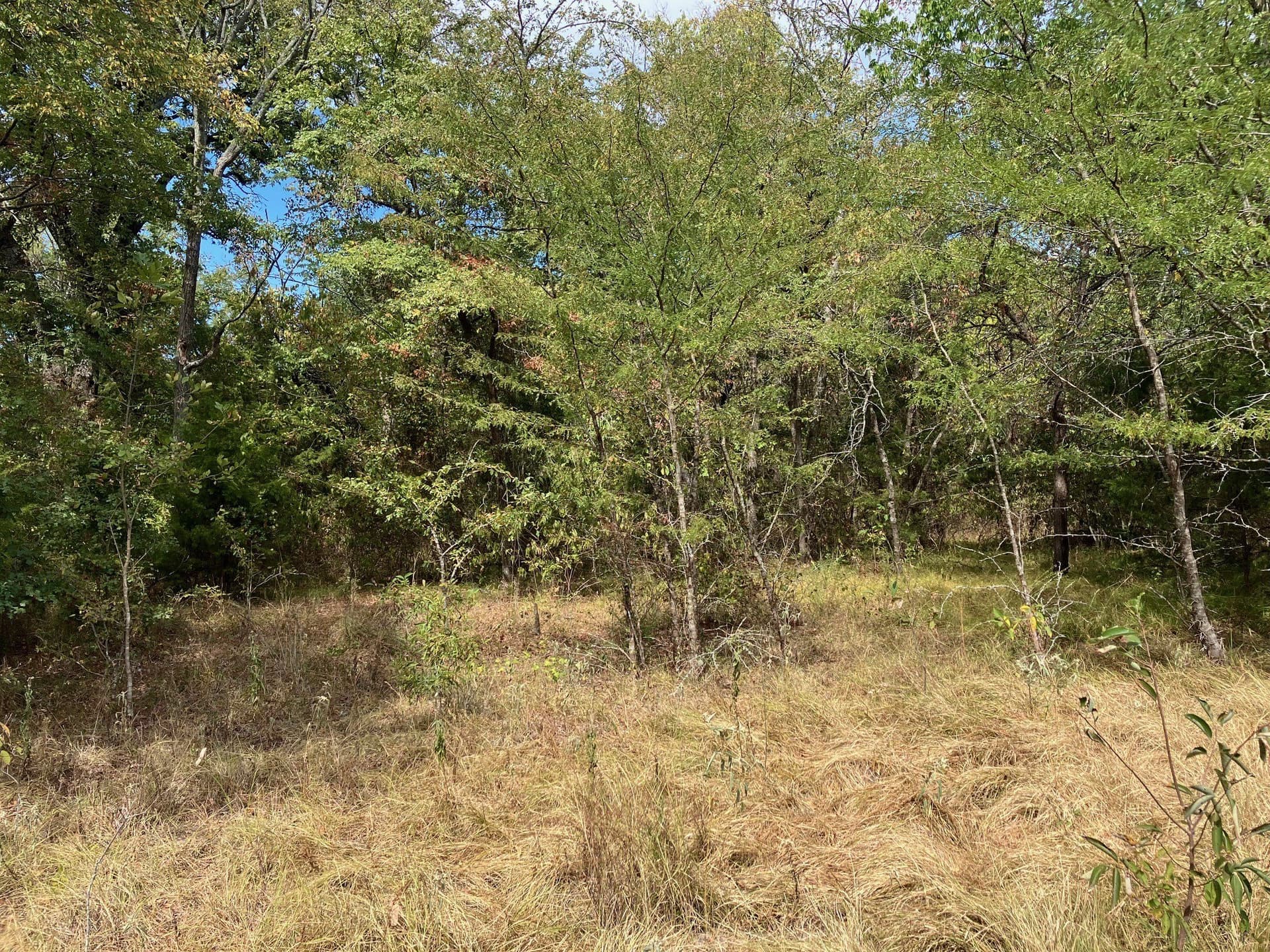 16.11 acres in Hopkins County - photo 7