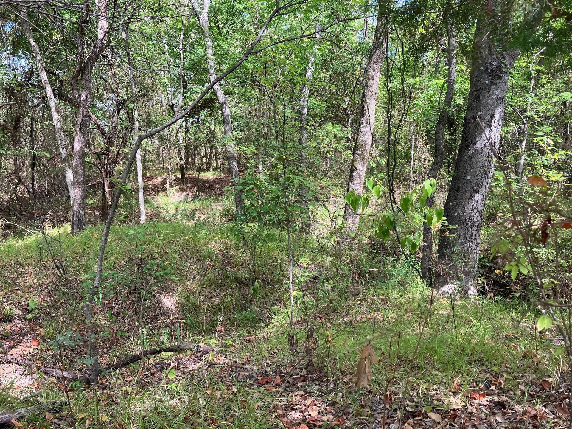 16.11 acres in Hopkins County - photo 9