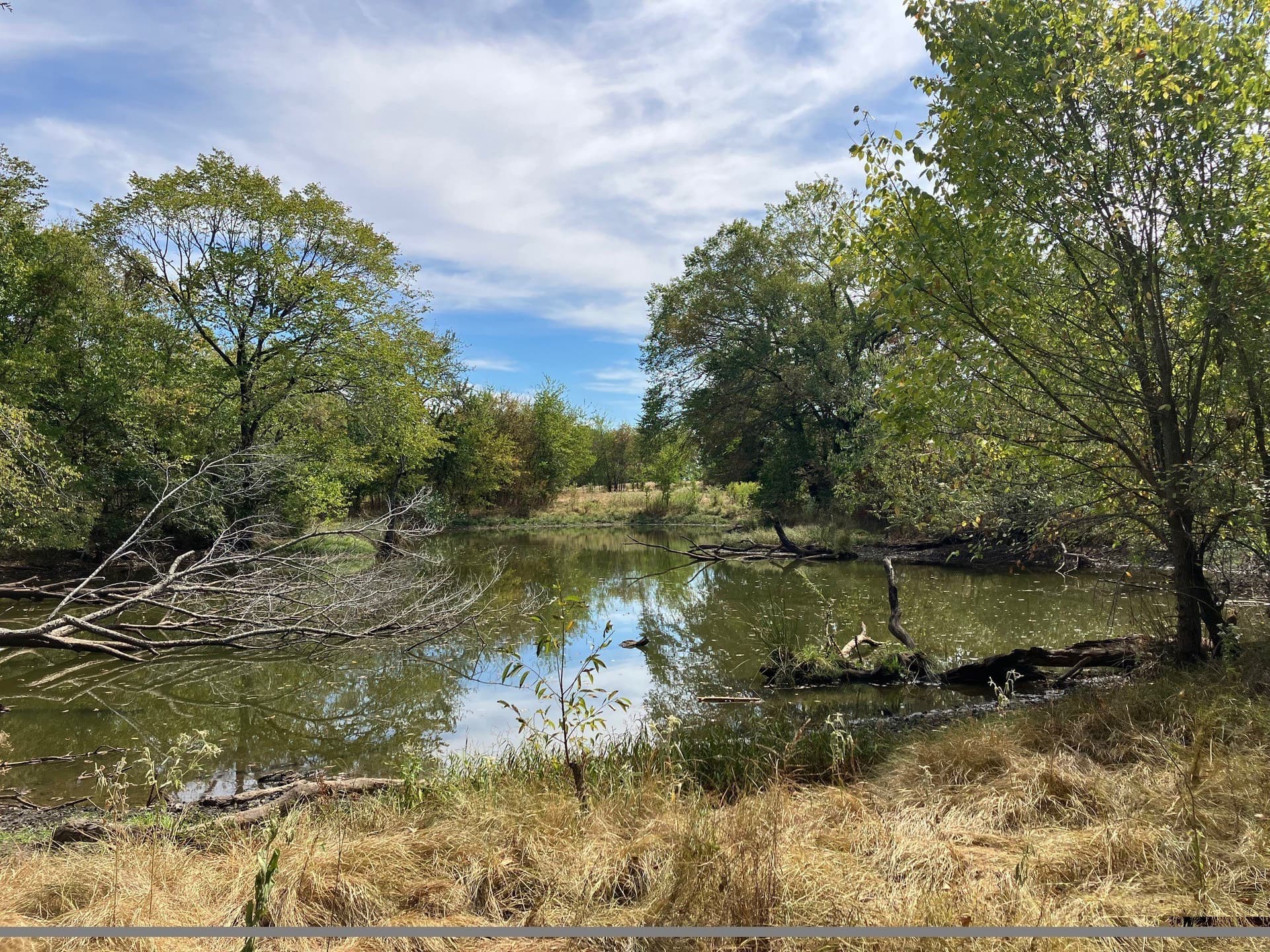 16.11 acres in Hopkins County - photo 3