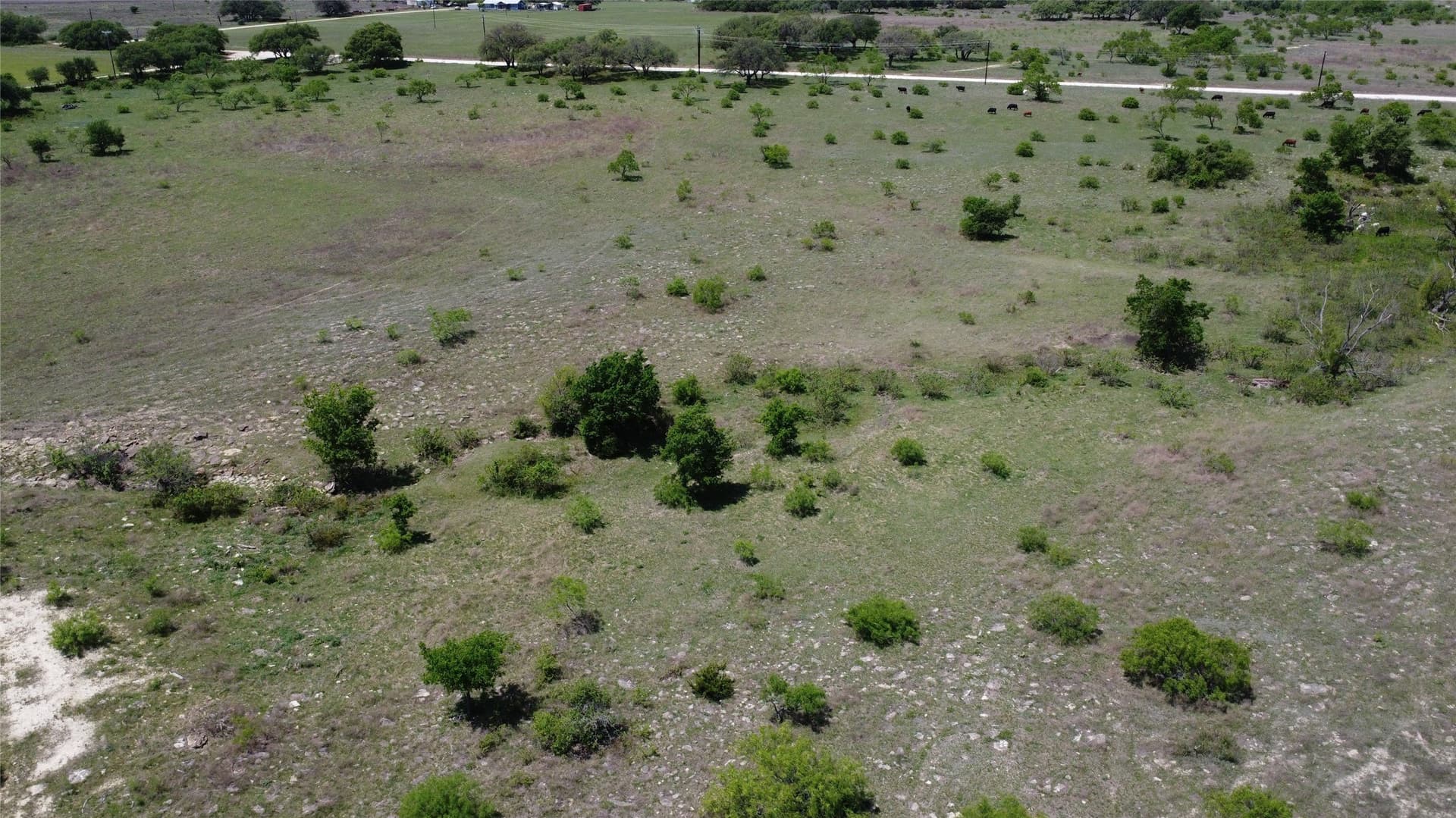 10.01 acres in Comanche County - photo 12