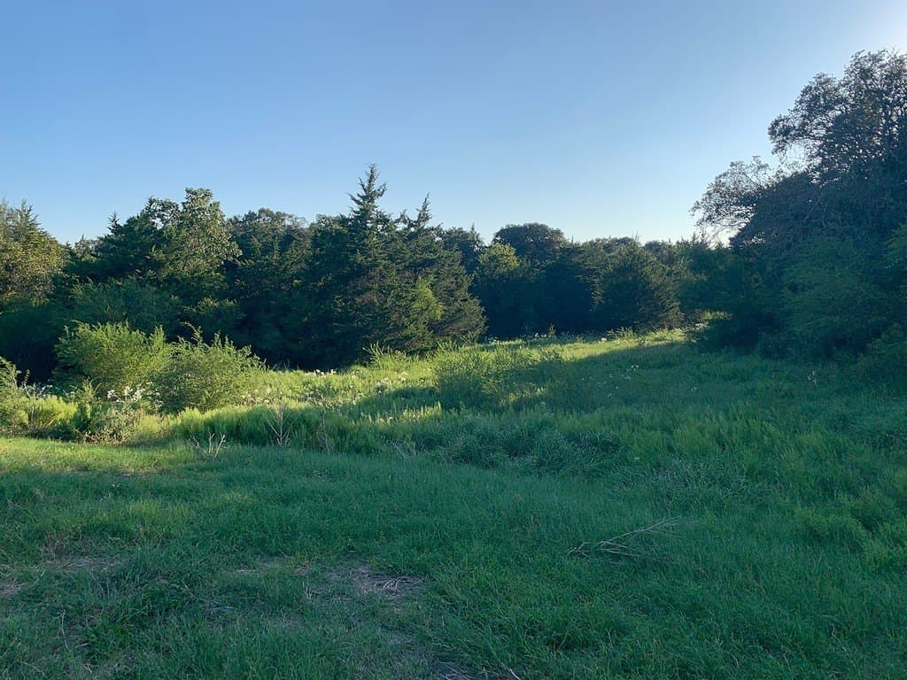 27 acres in Lavaca County - photo 4