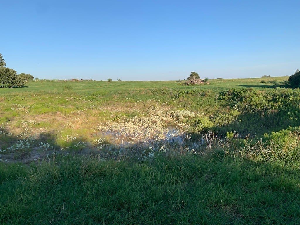 27 acres in Lavaca County - photo 5