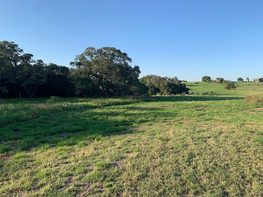 27 acres in Lavaca County - photo 8