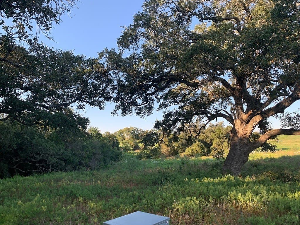 27 acres in Lavaca County - photo 6