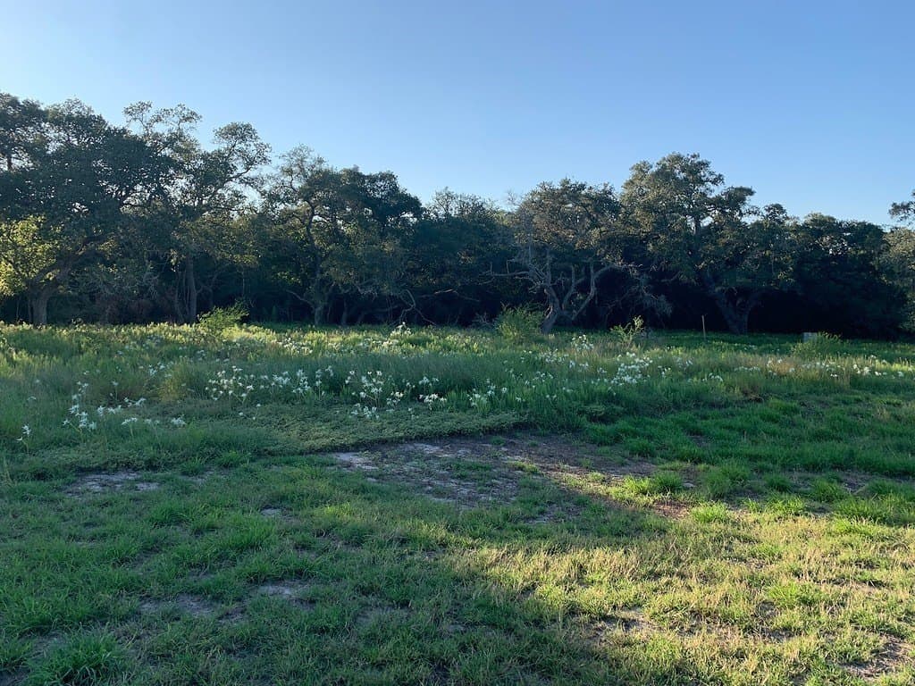 27 acres in Lavaca County - photo 7