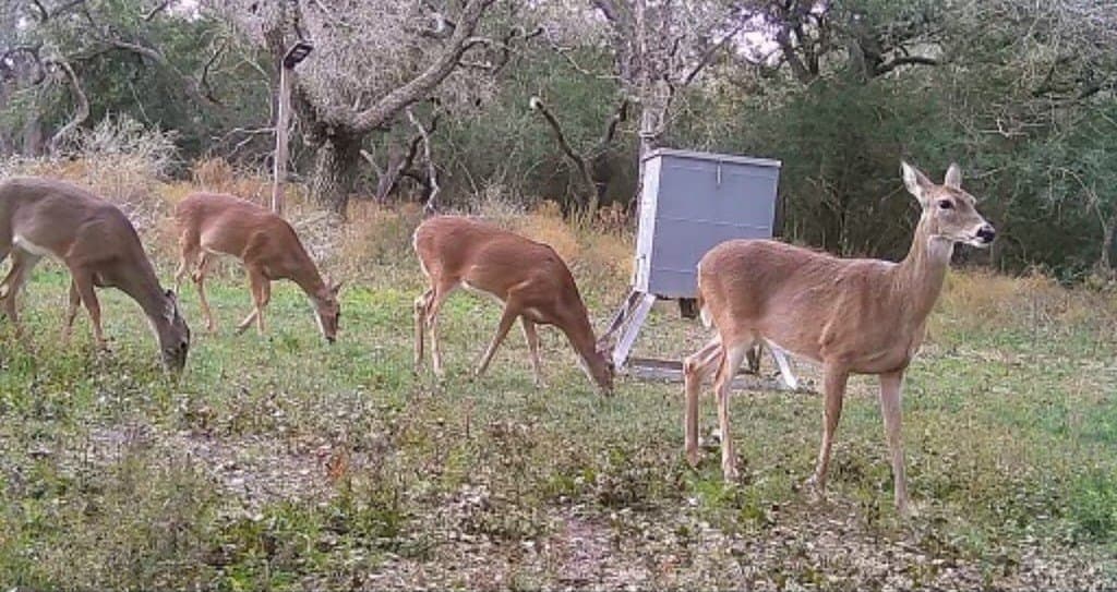 27 acres in Lavaca County - photo 11