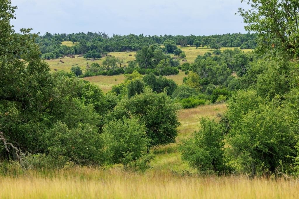 14.07 acres in Gillespie County