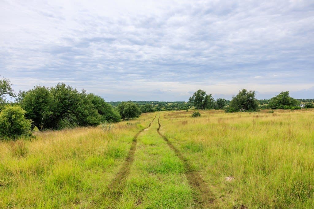 14.07 acres in Gillespie County gallery image 2