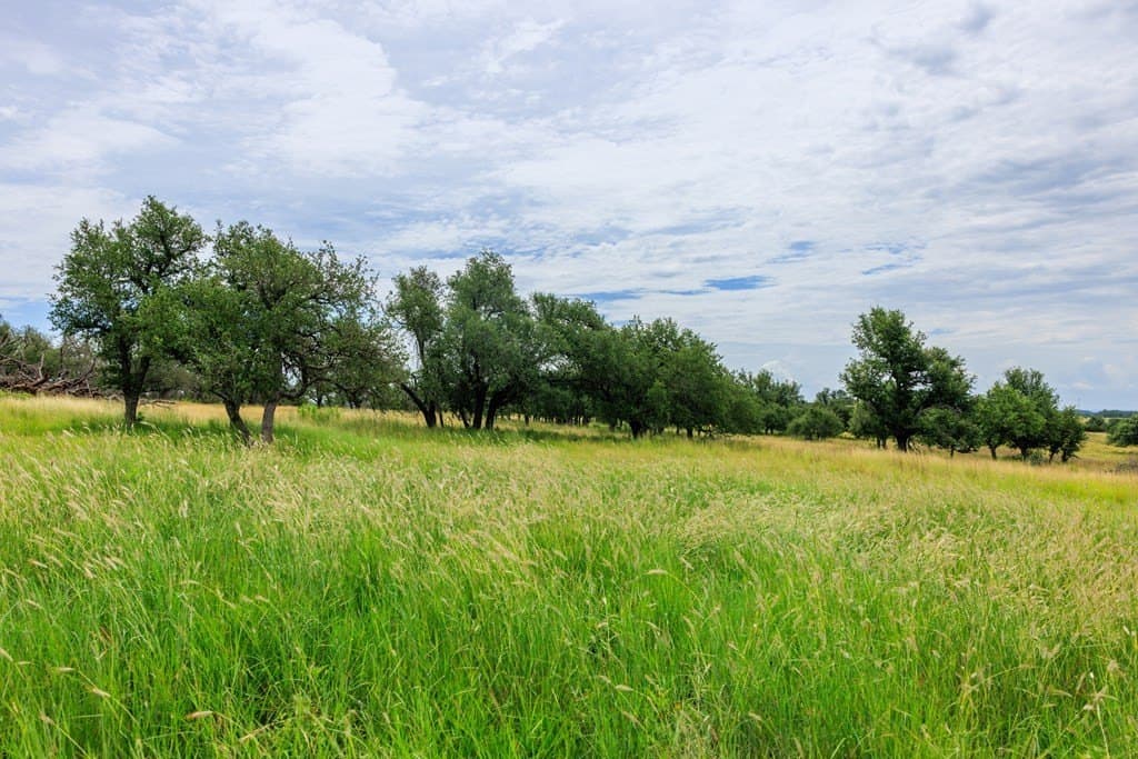 14.07 acres in Gillespie County gallery image 4