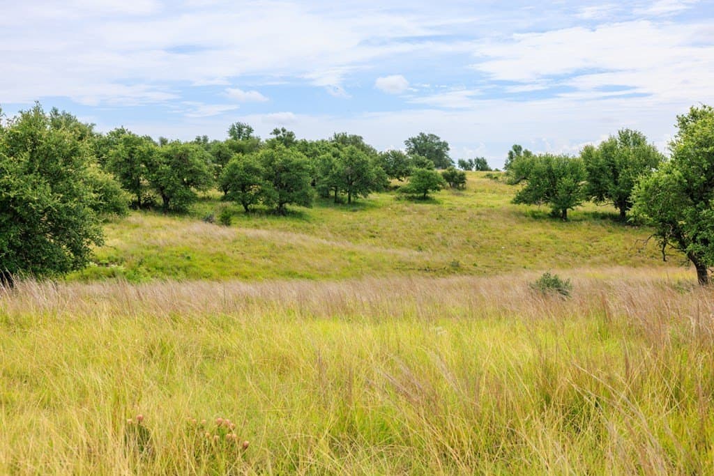 14.07 acres in Gillespie County featured view