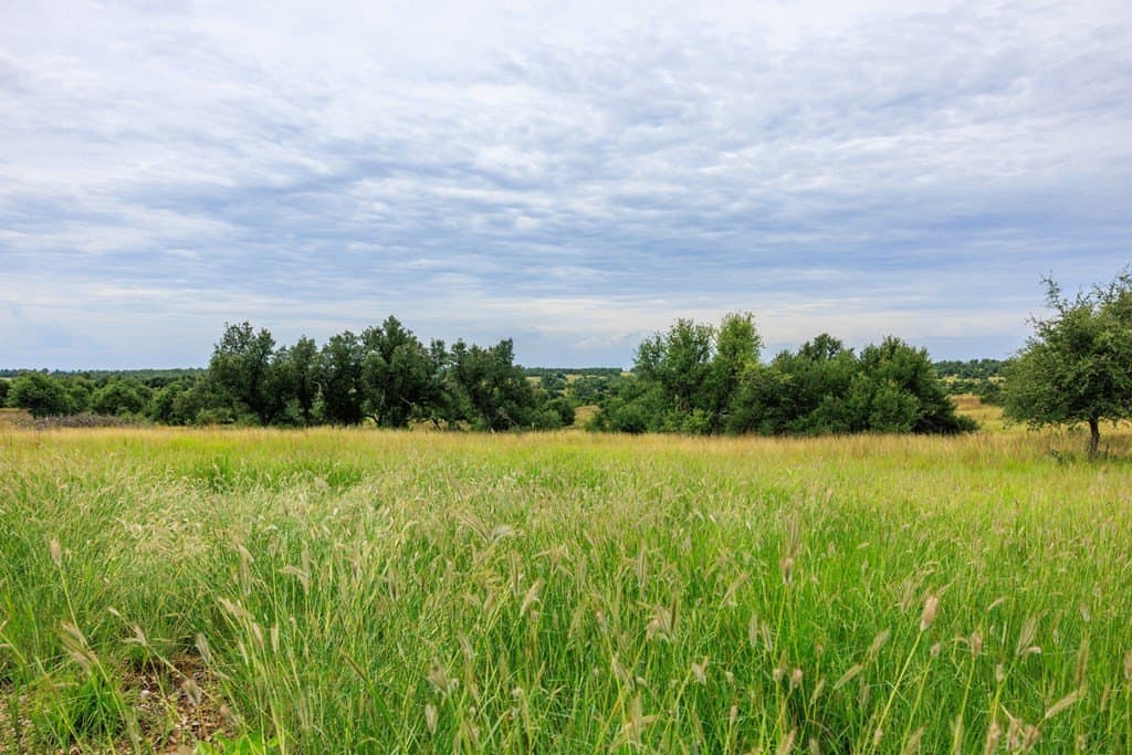 14.07 acres in Gillespie County gallery image 3