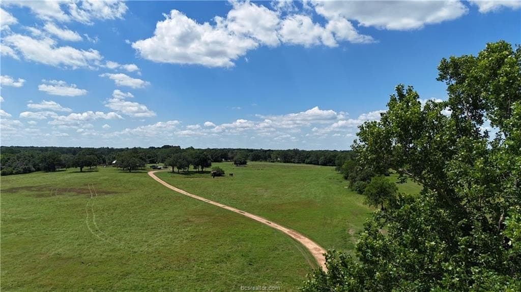 29.82 acres in Milam County gallery image 2