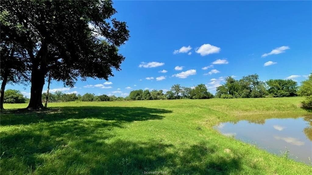 29.82 acres in Milam County - photo 28