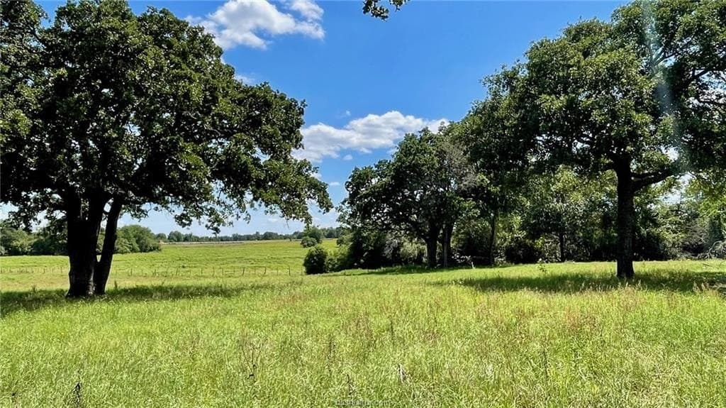 29.82 acres in Milam County - photo 29