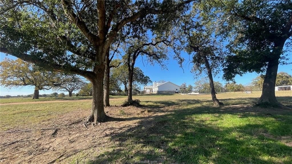 29.82 acres in Milam County - photo 6