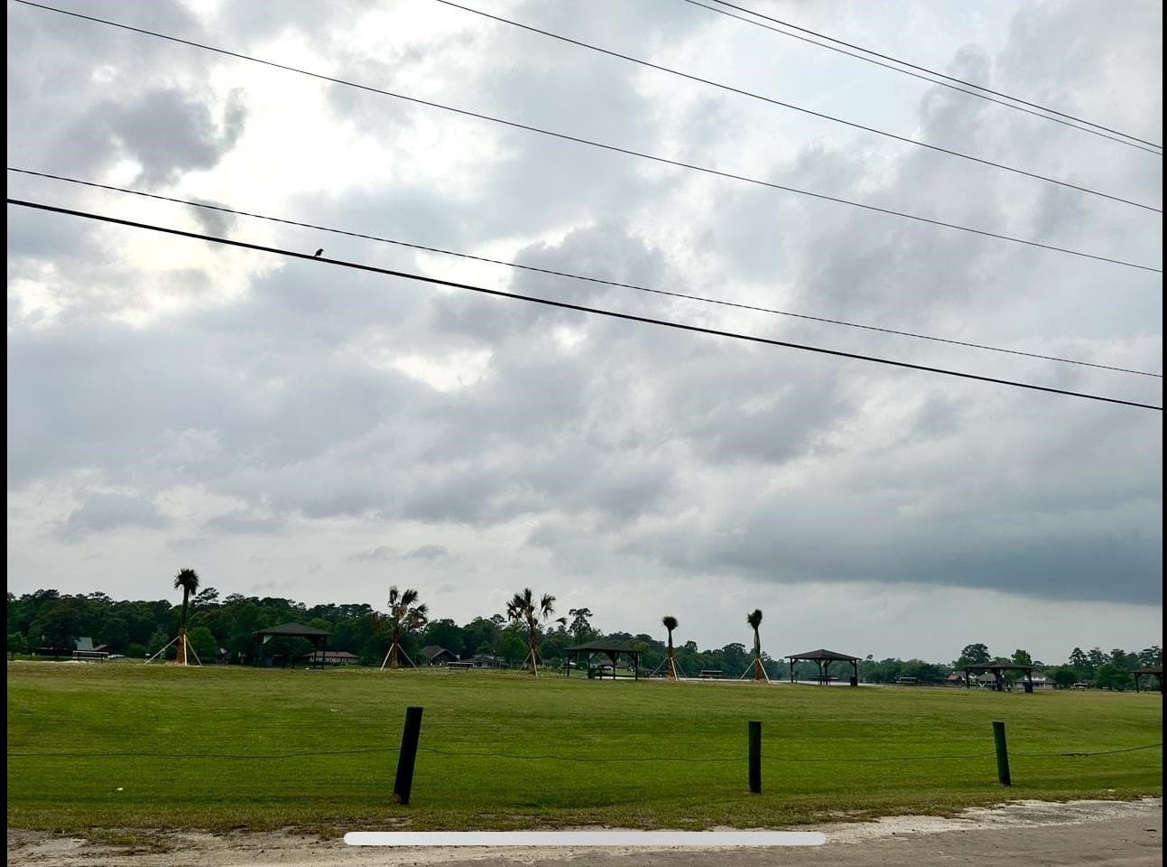 0.22 acres in Tyler County gallery image 2