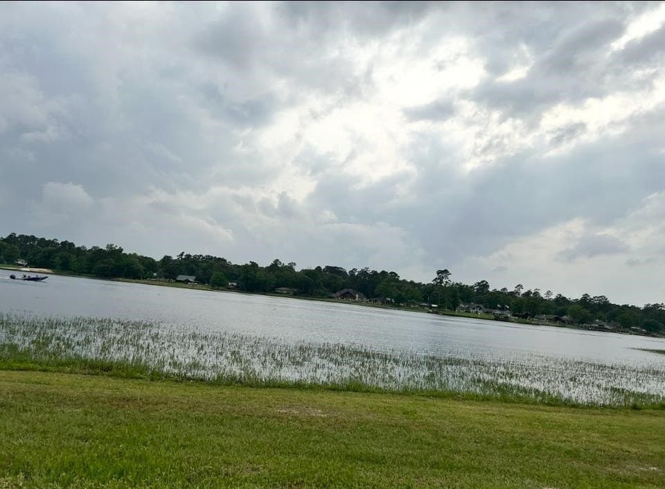 0.22 acres in Tyler County gallery image 3