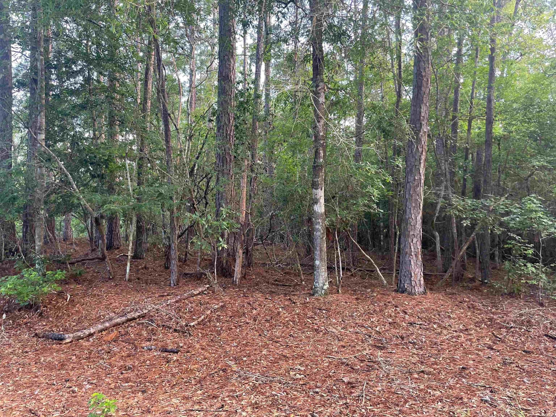 0.22 acres in Tyler County