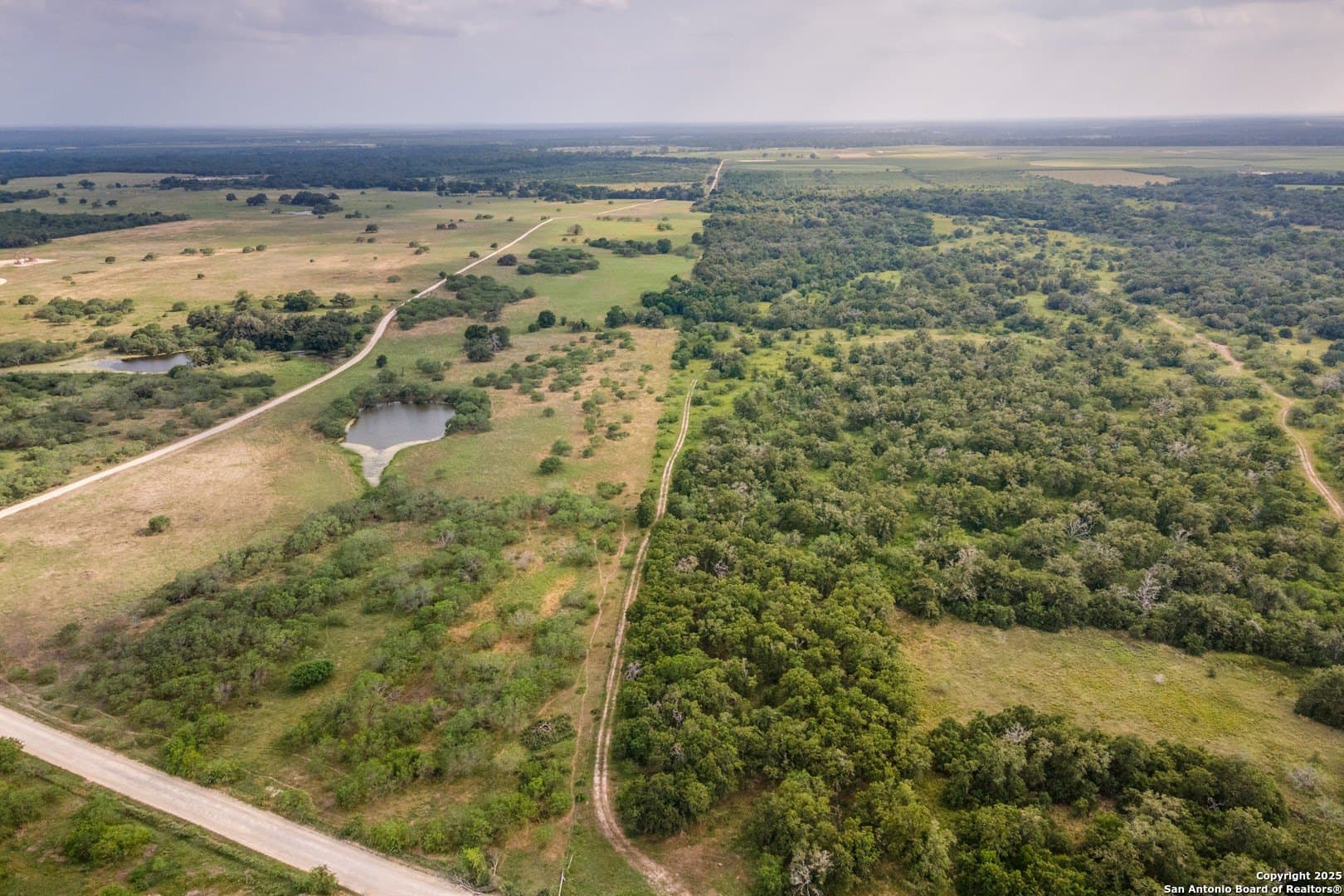 50 acres in Gonzales County - photo 3