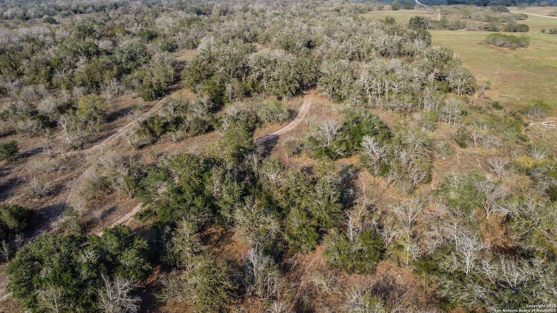 50 acres in Gonzales County - photo 8