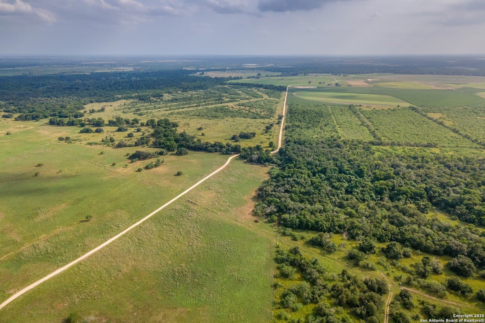 50 acres in Gonzales County - photo 5