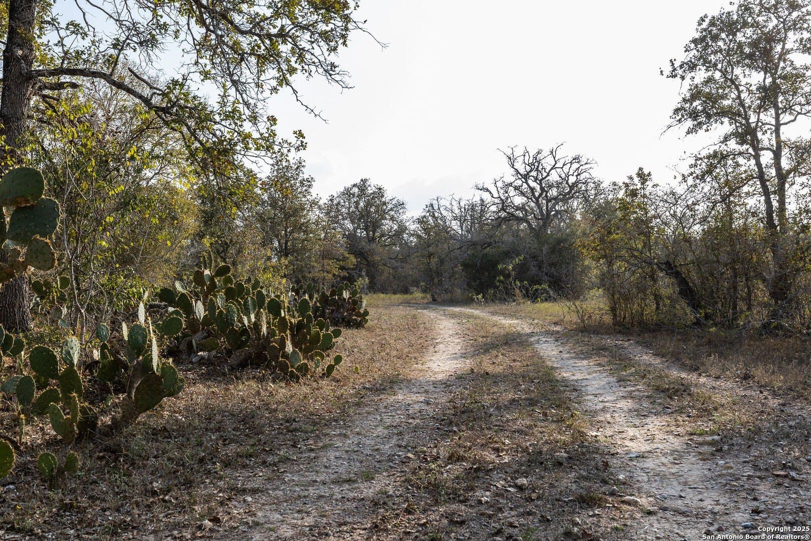 50 acres in Gonzales County - photo 14
