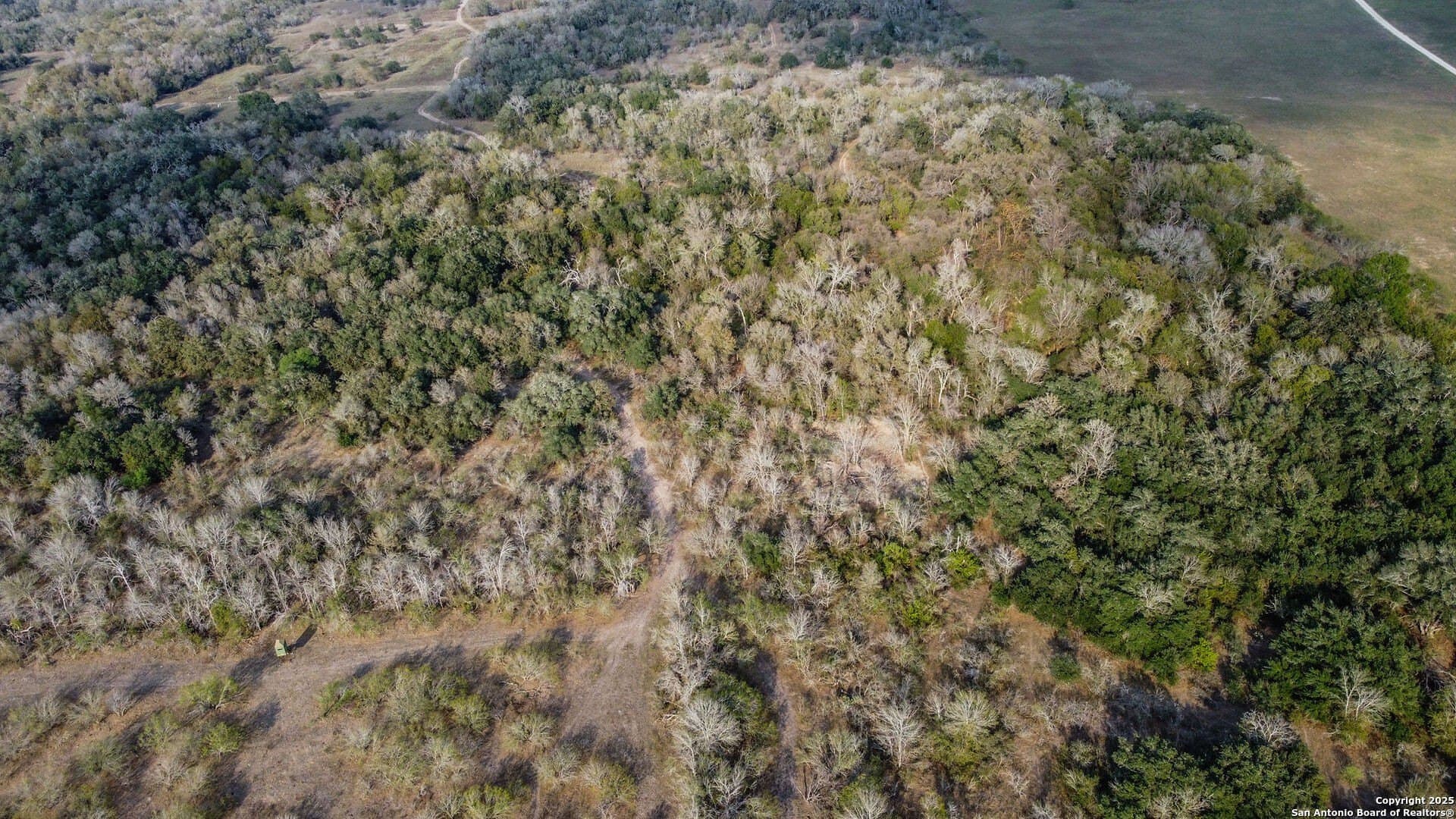 50 acres in Gonzales County - photo 6