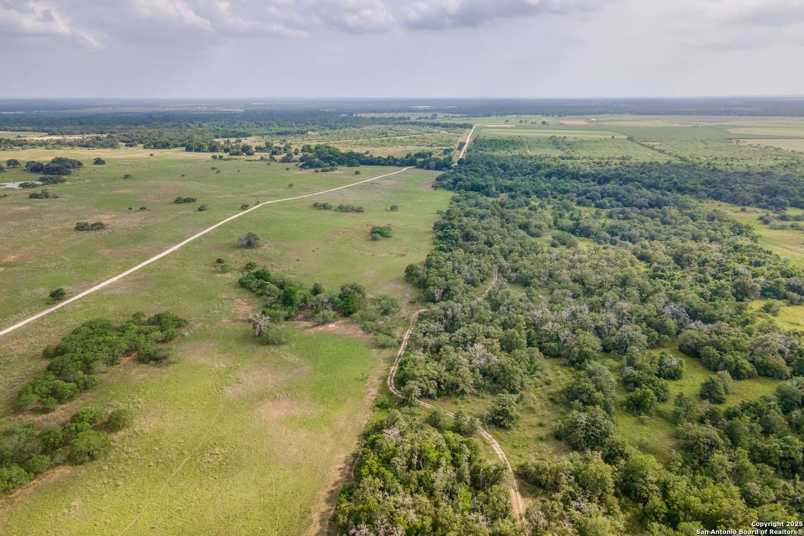 50 acres in Gonzales County - photo 4