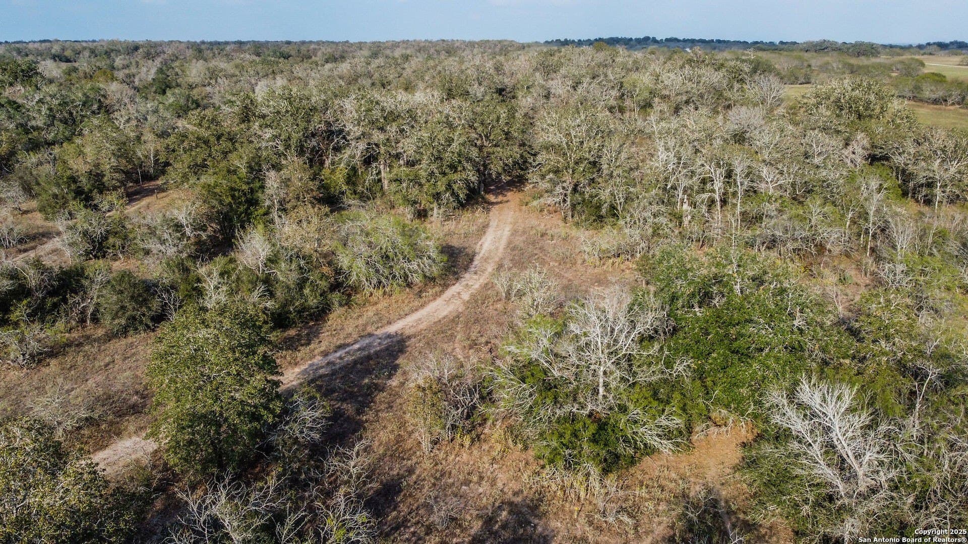 50 acres in Gonzales County - photo 9