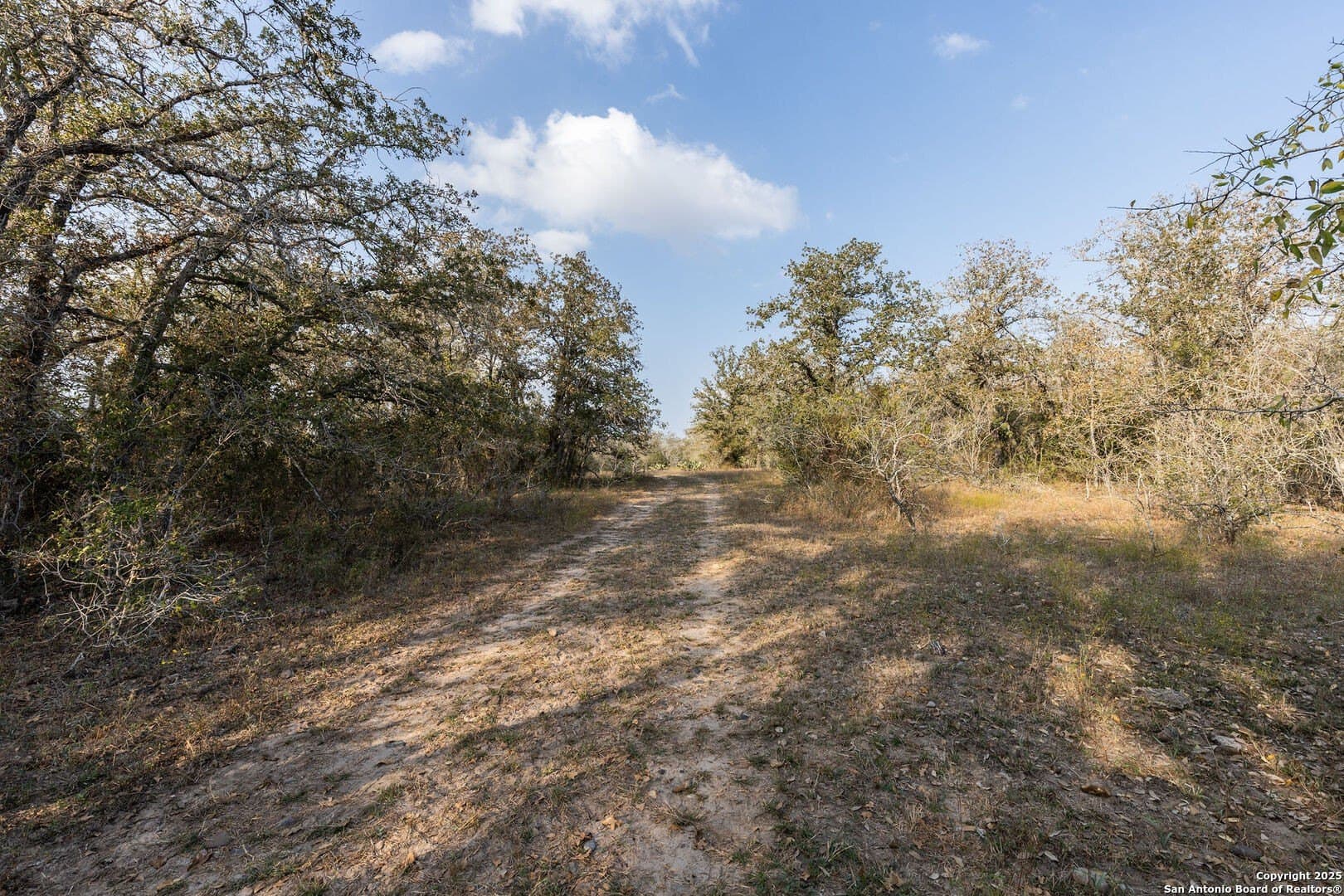 50 acres in Gonzales County - photo 12
