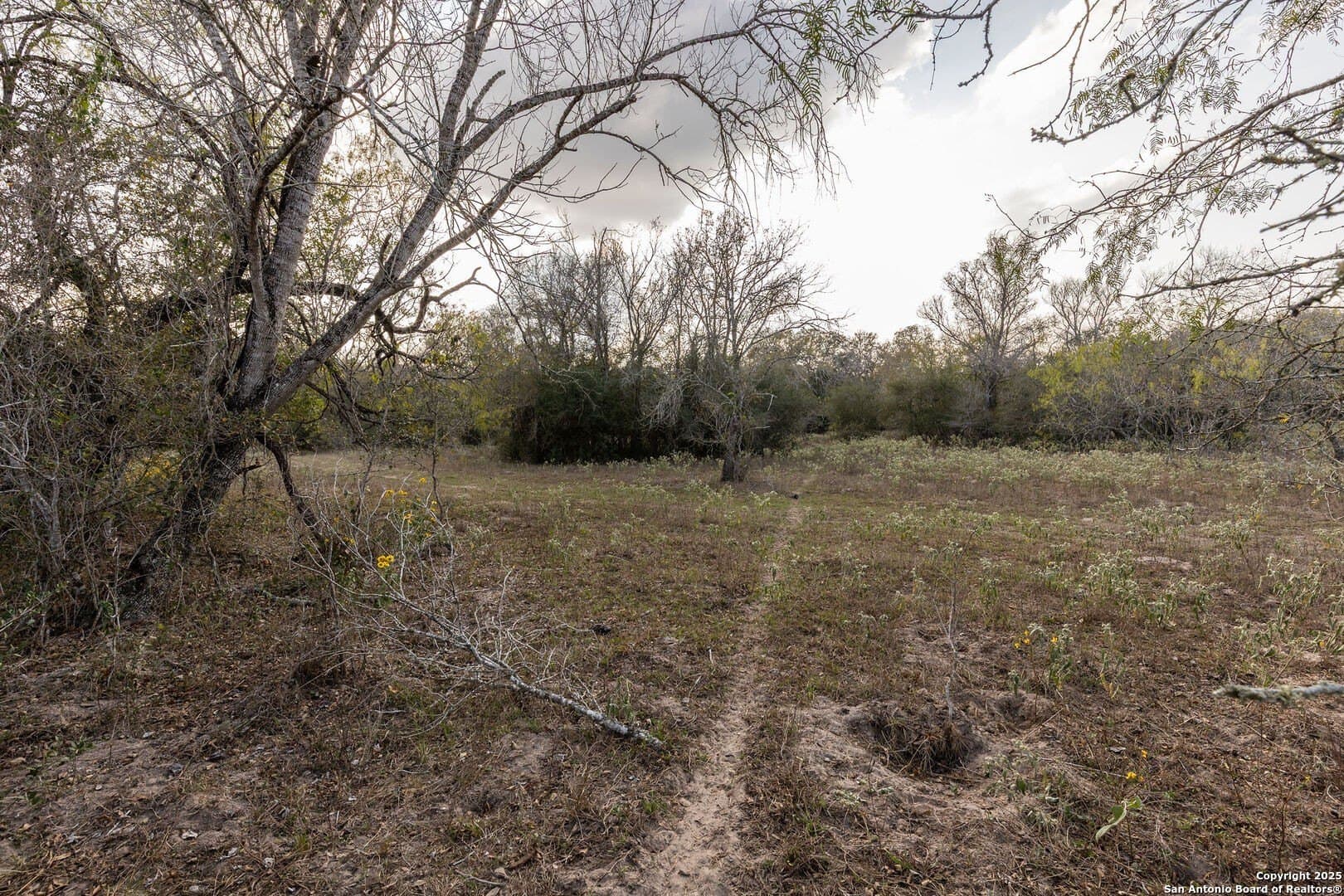 50 acres in Gonzales County - photo 10