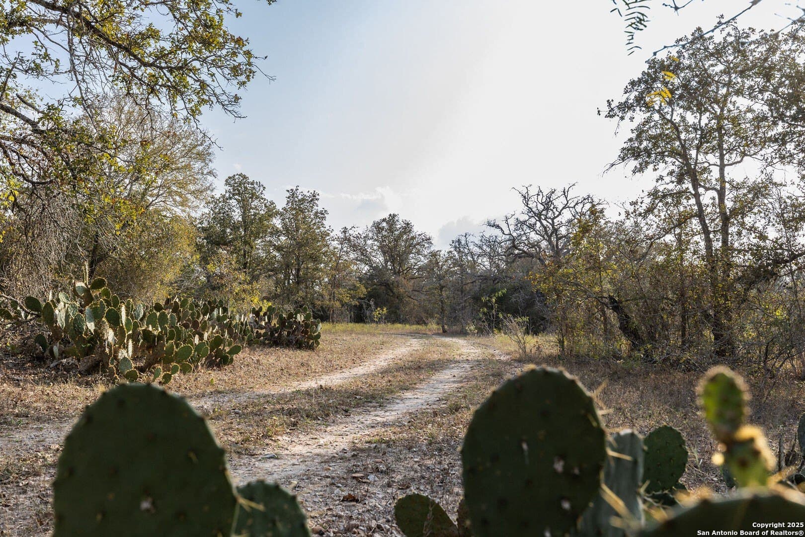 50 acres in Gonzales County - photo 15