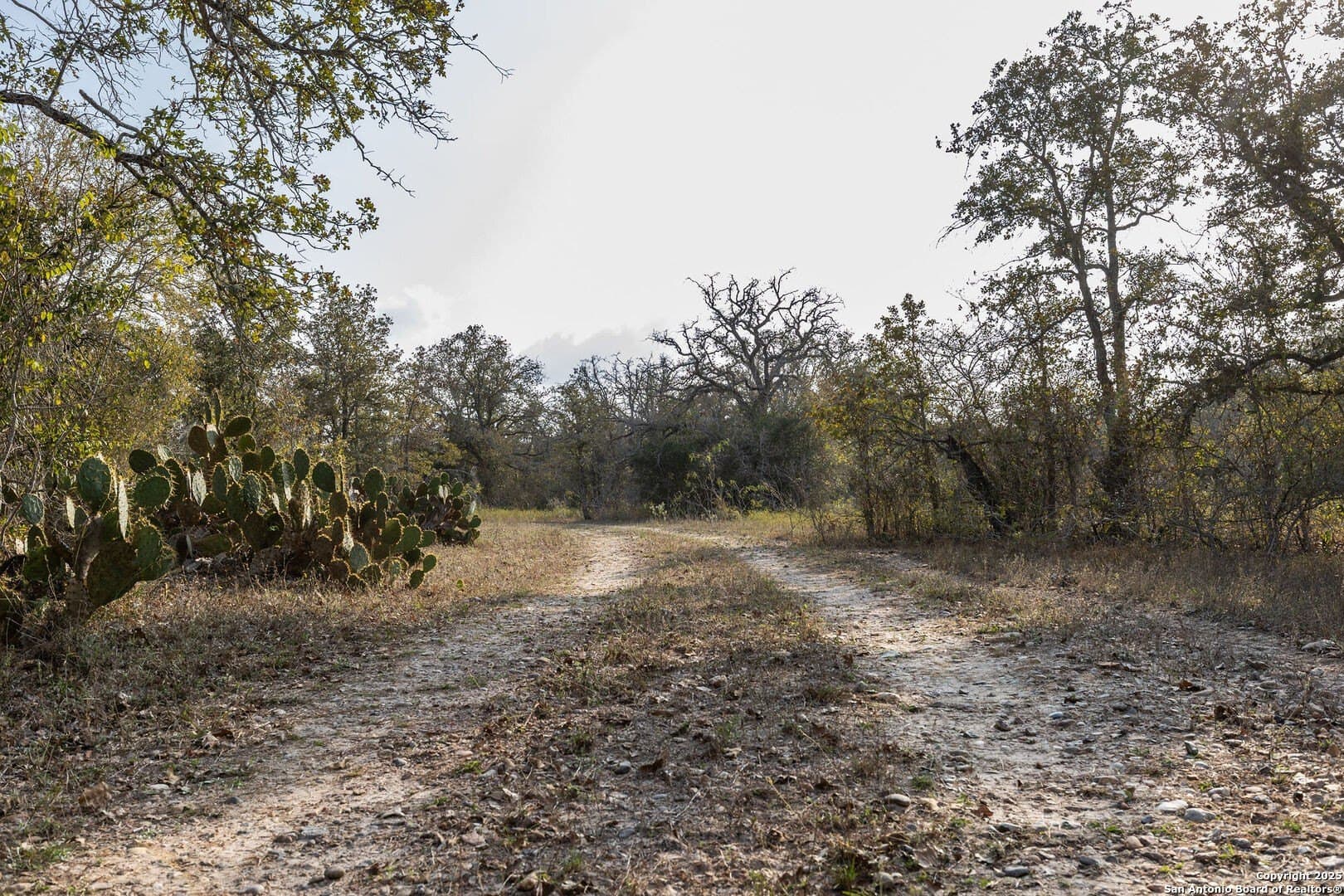 50 acres in Gonzales County - photo 13