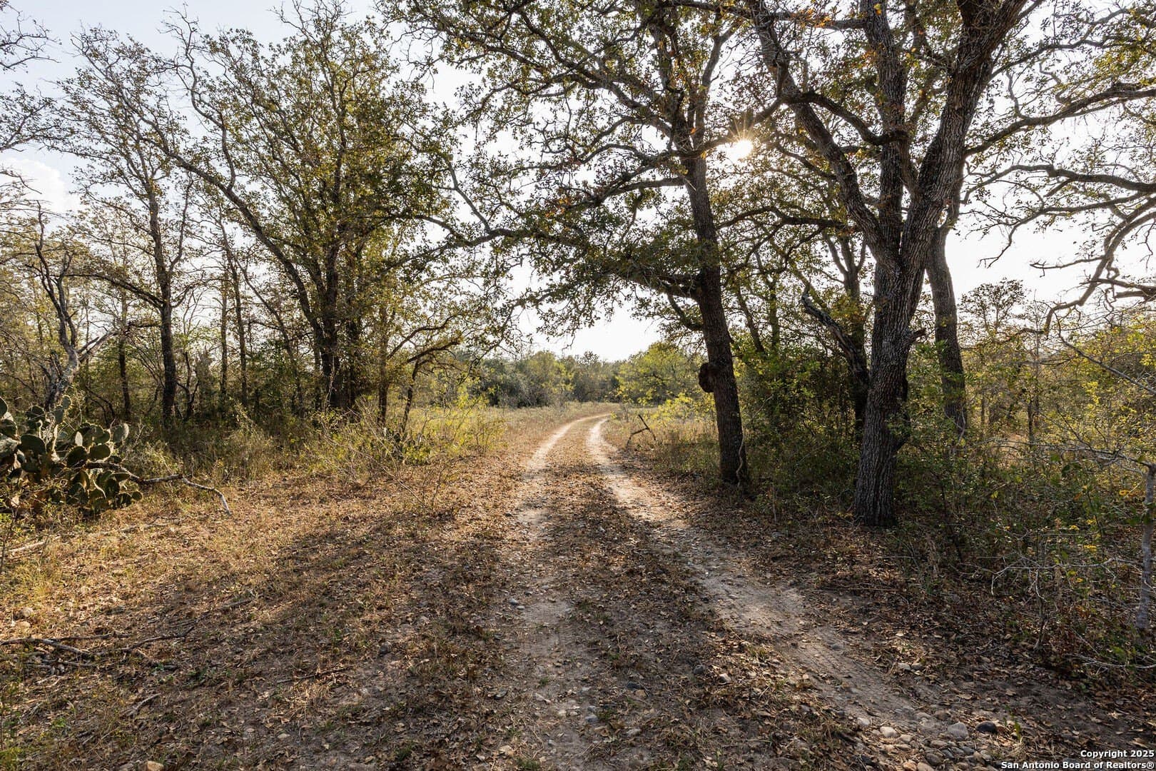 50 acres in Gonzales County - photo 11