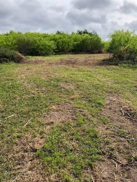 161.43 acres in Calhoun County featured view