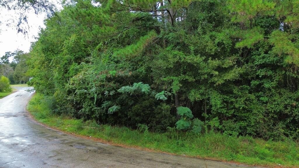 0.67 acres in Texas County - photo 3