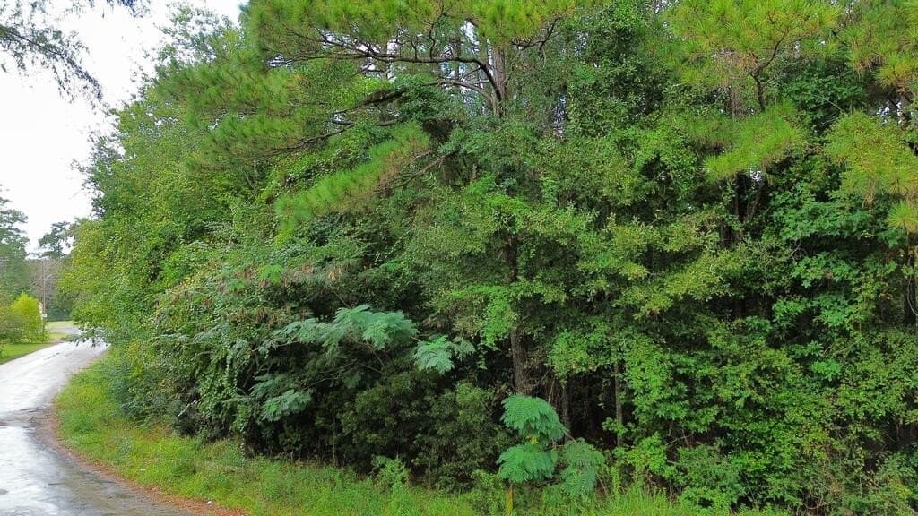 0.67 acres in Texas County - photo 5