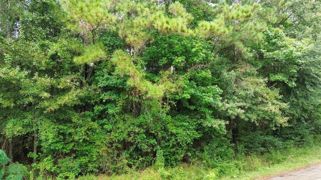 0.67 acres in Texas County - photo 4