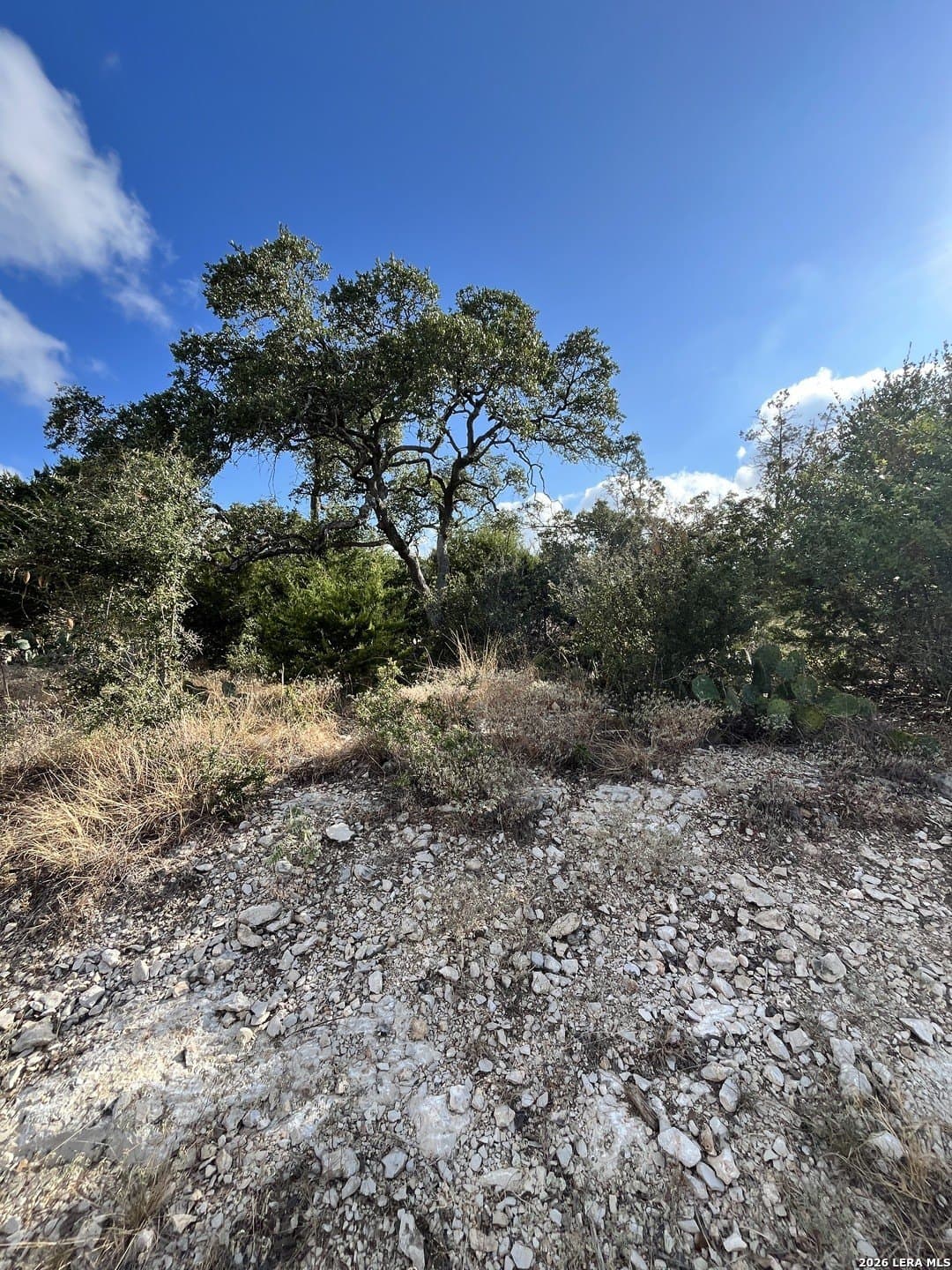 1.03 acres in Comal County - photo 7
