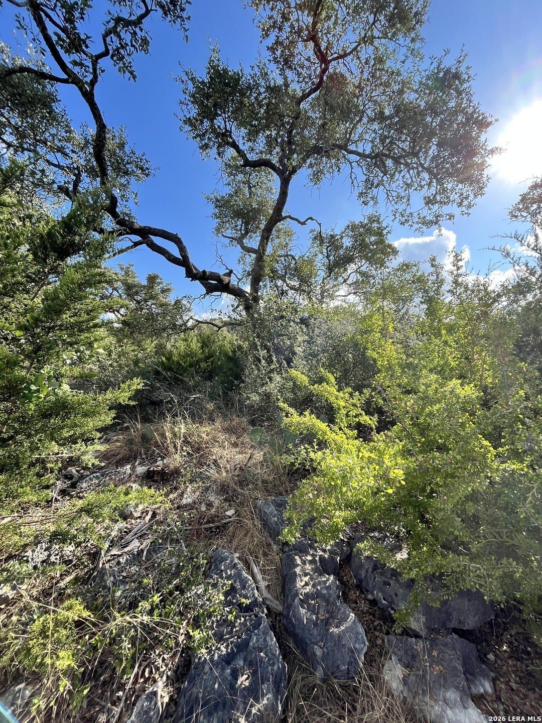 1.03 acres in Comal County - photo 6