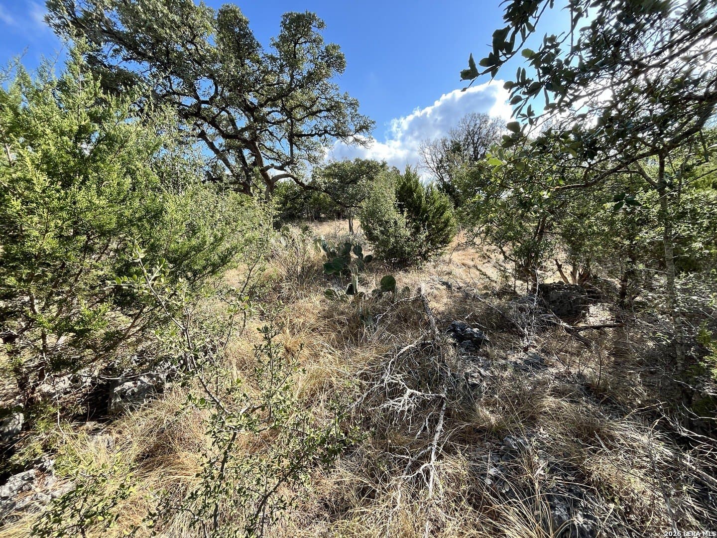1.03 acres in Comal County - photo 5