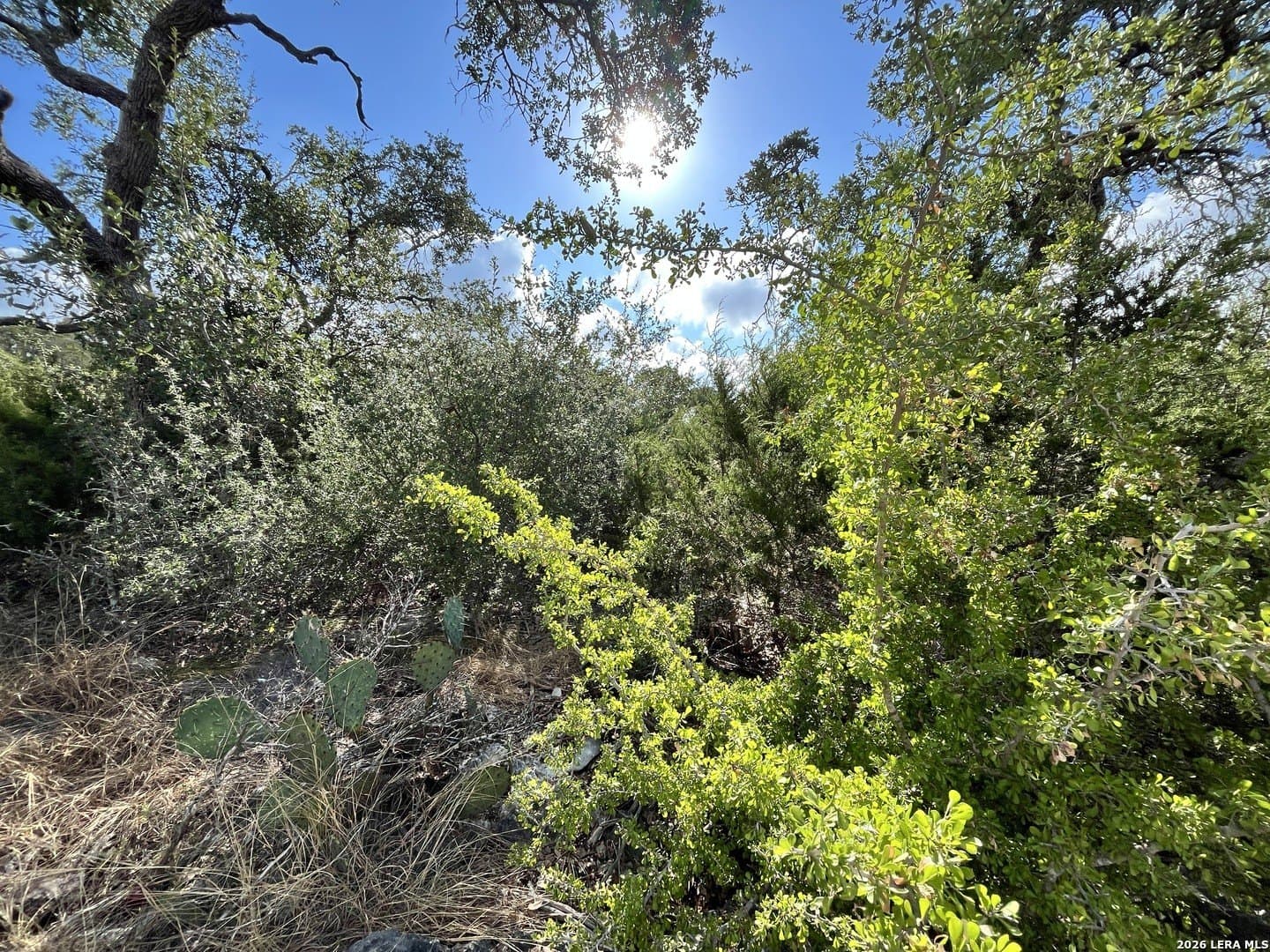 1.03 acres in Comal County - photo 2