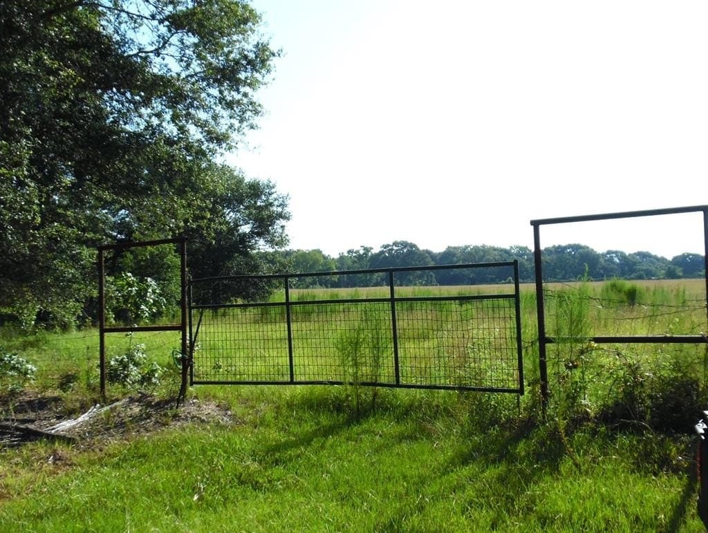 99.2 acres in Henderson County - photo 45